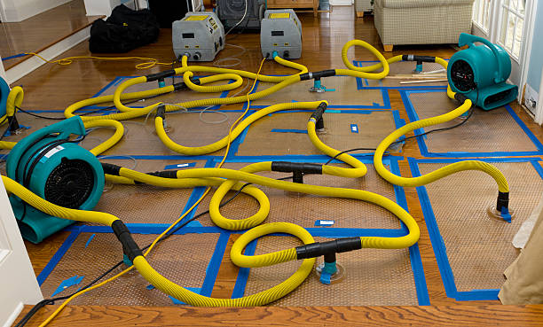 Professional Burst Pipe Water Damage technician working in Paris, MI